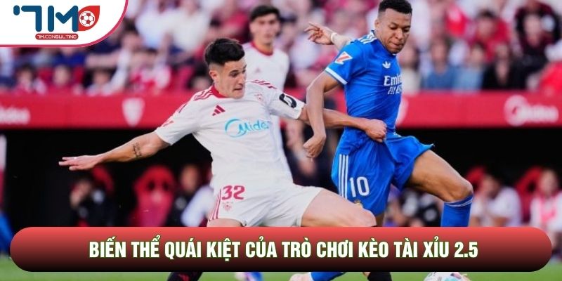 Biến thể quái kiệt của trò chơi kèo tài xỉu 2.5
