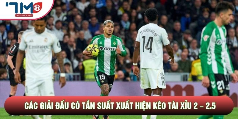 Các giải đấu có tần suất xuất hiện kèo tài xỉu 2 – 2.5