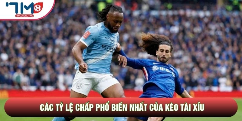 Các tỷ lệ chấp phổ biến nhất của kèo tài xỉu