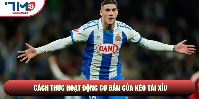 Cách thức hoạt động cơ bản của kèo tài xỉu