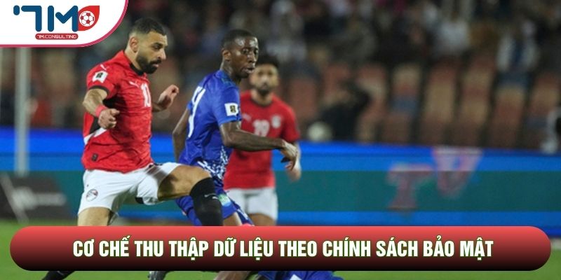 Cơ chế thu thập dữ liệu theo chính sách bảo mật