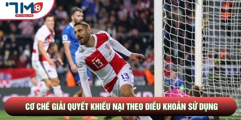 Cơ chế giải quyết khiếu nại theo điều khoản sử dụng