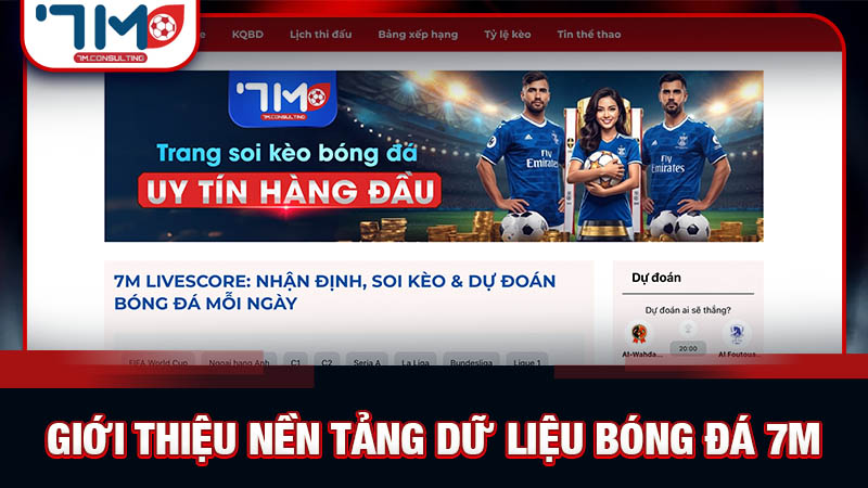 Tổng quan về hệ thống dữ liệu bóng đá toàn diện tại 7M