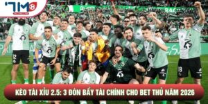 Kèo Tài Xỉu 2.5: 3 Đòn Bẩy Tài Chính Cho Bet Thủ Năm 2026