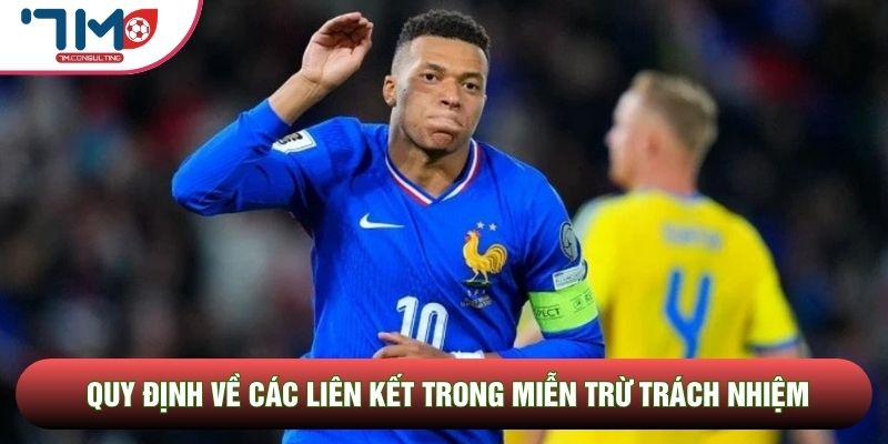 Quy định về các liên kết trong miễn trừ trách nhiệm