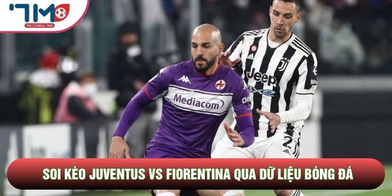 Soi kèo Juventus vs Fiorentina qua dữ liệu bóng đá Soi kèo Juventus vs Fiorentina qua dữ liệu bóng đá