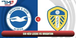 soi keo leeds vs brighton avt