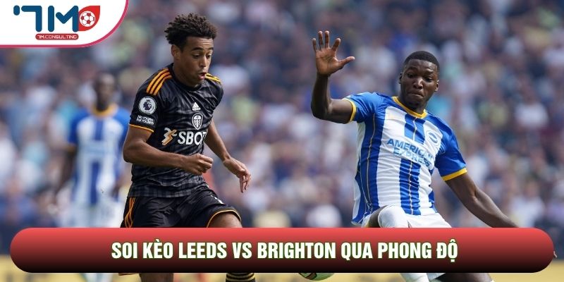 Soi kèo Leeds vs Brighton qua phong độ