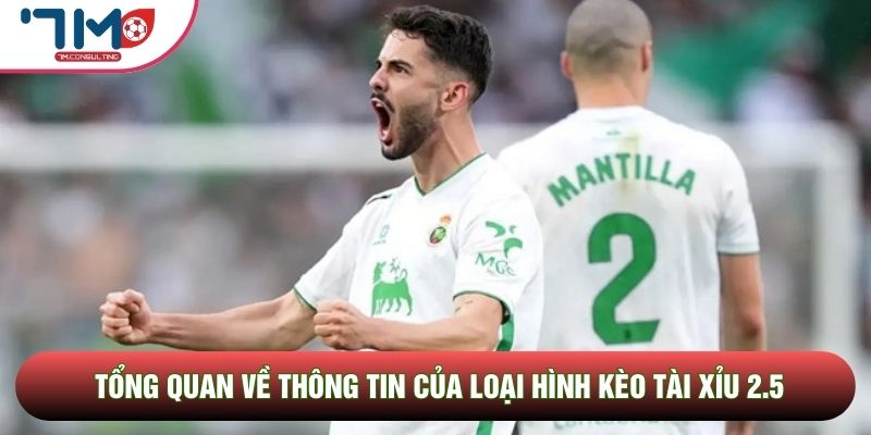 Tổng quan về thông tin của loại hình kèo tài xỉu 2.5