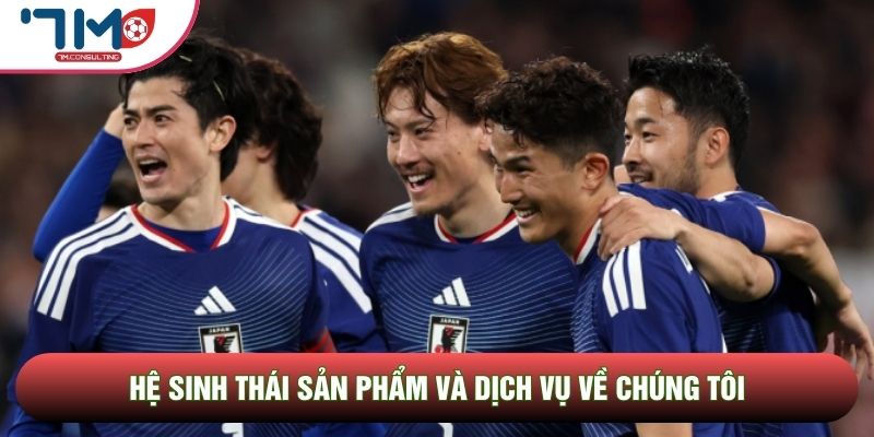 Hệ sinh thái sản phẩm và dịch vụ về chúng tôi